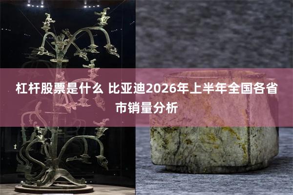 杠杆股票是什么 比亚迪2026年上半年全国各省市销量分析