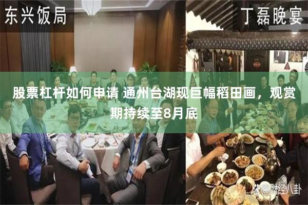 股票杠杆如何申请 通州台湖现巨幅稻田画，观赏期持续至8月底