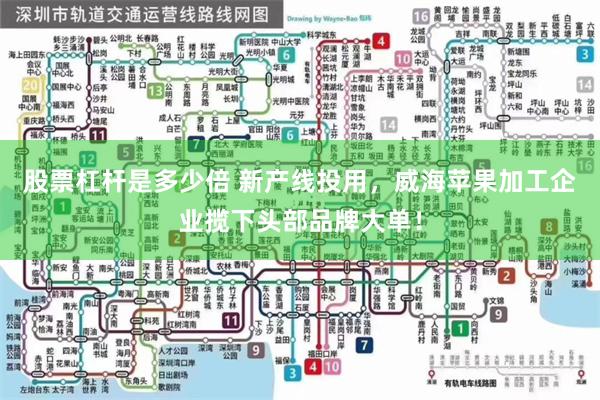 股票杠杆是多少倍 新产线投用，威海苹果加工企业揽下头部品牌大单！