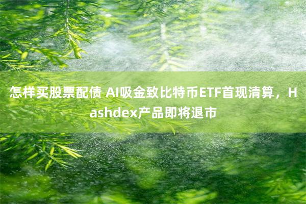 怎样买股票配债 AI吸金致比特币ETF首现清算，Hashdex产品即将退市