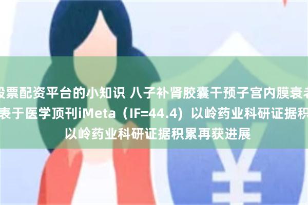 股票配资平台的小知识 八子补肾胶囊干预子宫内膜衰老机制研究发表于医学顶刊iMeta（IF=44.4)  以岭药业科研证据积累再获进展